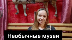 Необычные музеи Санкт-Петербурга