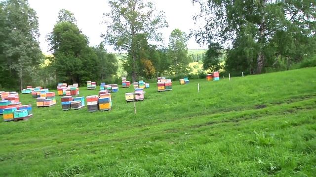 Выпуск 16. Катенёв Вячеслав Юрьевич обзор точков. часть1 смотреть онлайн