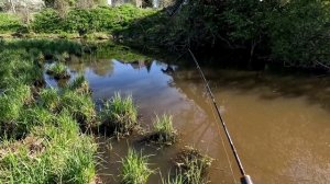 ЛУЧШАЯ СНАСТЬ НА КАРАСЯ В МАЕ. ОБЛОВИЛ  ПОПЛАВОЧНИКОВ С DAYO ATARASHI. МОРМЫШИНГ. РЫБАЛКА 2024