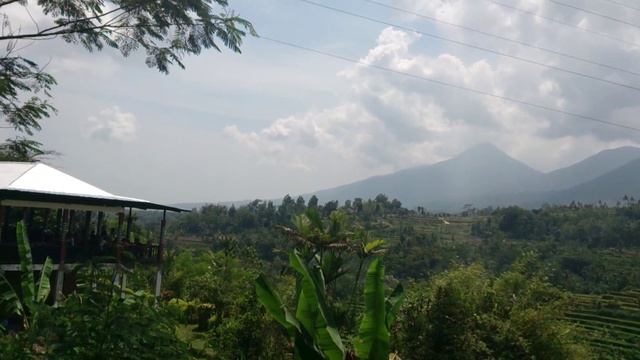 Бали рисовые поля смотреть онлайн