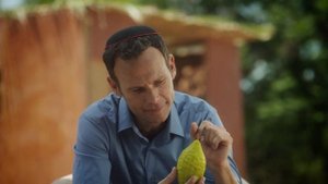 Арба Миним - четыре вида растении в праздник Суккот