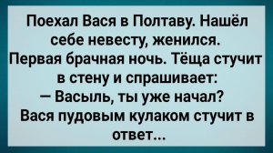 Как Вася в Полтаве Женился! Сборник Свежих Анекдотов! Юмор!