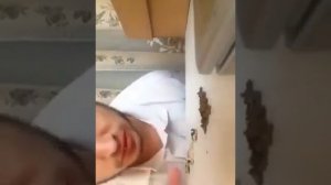 ПАША ТЕХНИК Я