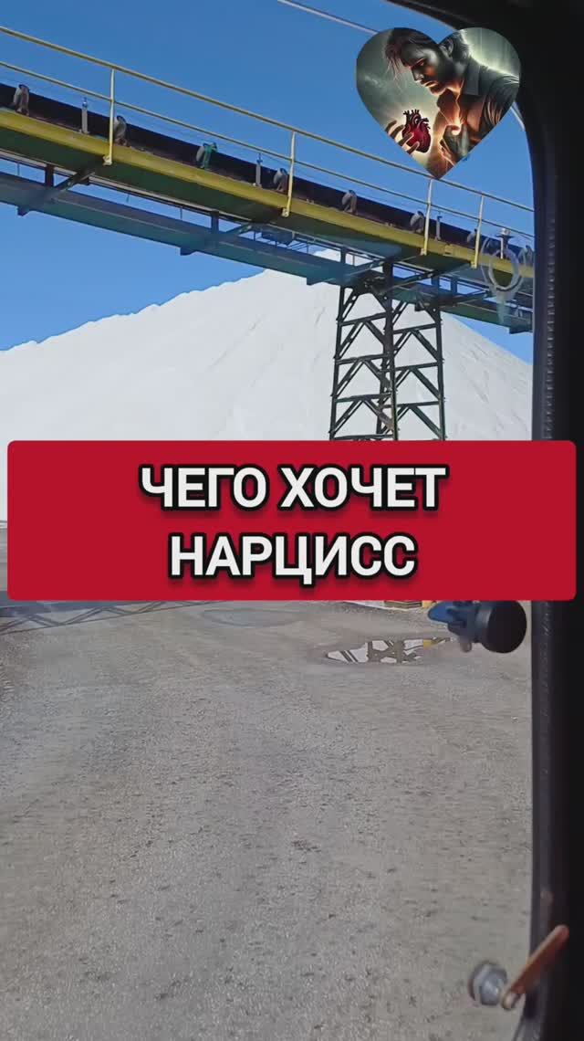 ЧЕГО ХОТЯТ НАРЦИССЫ смотреть онлайн