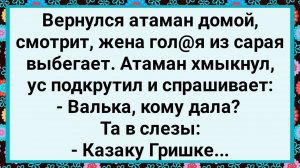 Как Атаман Жену с Казаком Гришкой Застукал! Большой Сборник Свежих Смешных Анекдотов!