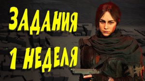Облава Агент Келсо 1 Неделя Разведзадачи Груз Истины The Division 2