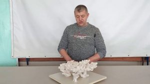 ДФ-351П Комплект для морского аквариума из биокерамики.