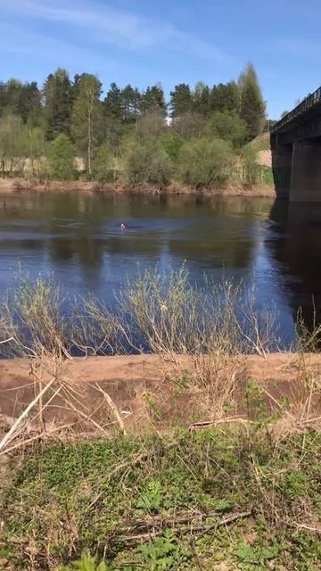 Алёховщина 13 мая 2018 смотреть онлайн