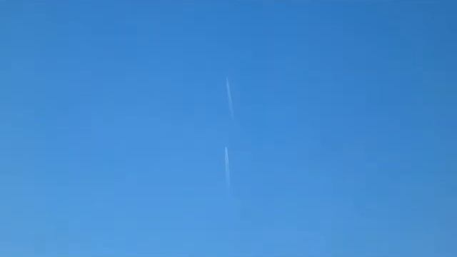 Две птички смотреть онлайн