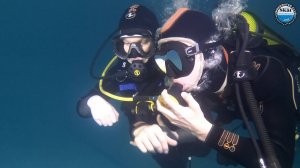 2024_04_06 - Экзамен по курсу OWD группы 425