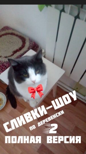 Деревня Кошка сливки Шоу эксперимент