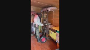 Выставка ульев из зимовника 26 февраля