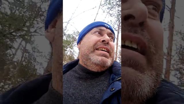 ВЕСЕННИЙ ЛЕС! смотреть онлайн