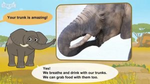 19. Meet the Animals 19  African Elephant  Wild Animals  Little Fox  Animated Stories for Kids