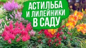 Секреты использования астильбы и лилейников в дизайне сада от Оксаны Пискаревой!