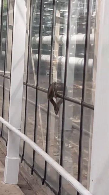 9 марта 2024 г. смотреть онлайн