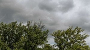 63. THE TREE AND THE CLOUDS