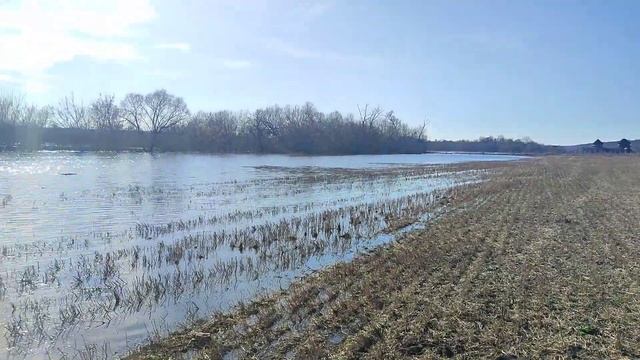 путешествие по нашим залитым полям. Разлив. р. Ока смотреть онлайн