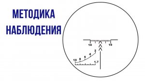 Сектор наблюдения