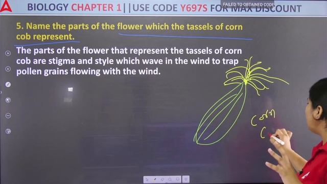 Introduction to Sexual Reproduction in Flowering Plants | Biology Chapter 1 | Class 12 /CUET 2024
