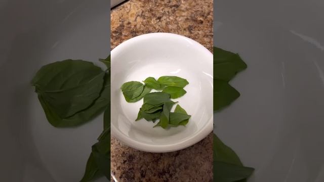 My own version of salsa using my own home grown patio herbs смотреть онлайн