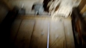 ГНЕЗДО Гигантских ШЕРШНЕЙ под крышей. Случайно нашли большое гнездо шершней среди других маленьких