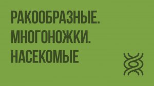 Ракообразные. Многоножки. Насекомые. Видеоурок по биологии 7 класс