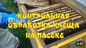 КОНТРОЛЬНАЯ ОБРАБОТКА ПЧЁЛ ОТ КЛЕЩА ВАРРОА НА ПАСЕКЕ. ОБРАБОТКА ПЧЁЛ БИПИНОМ.