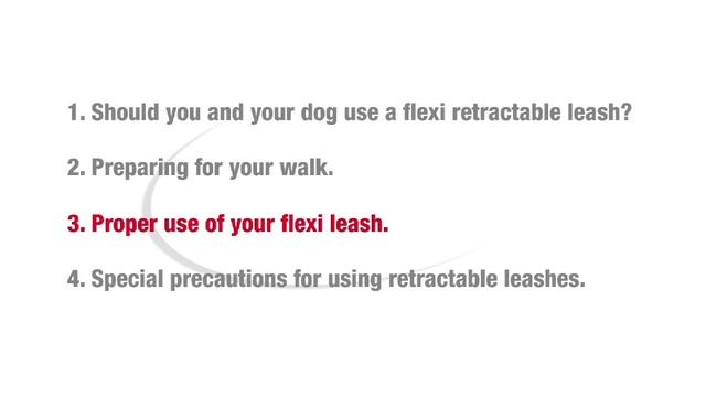 How to Use a Retractable Flexi Leash to Walk Your Dog (Petco) смотреть онлайн