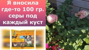 Выводы по удобрениям и препаратам от болезней и вредителей.