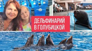 Дельфинарий в станице Голубицкой, Морской лев напугал! Дельфины удивили! Азовское море, июнь 2023.