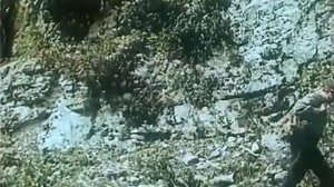 СВЕТЛЫЙ ФИЛЬМ" ТРОПОЮ БЕСКОРЫСТНОЙ ЛЮБВИ"/ БИАНКИ