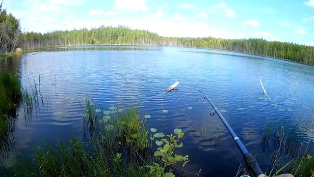 Рыбалка июнь 2023г. Разведка новых мест. Сбегал на 3 разных водоема. Нашел избушку смотреть онлайн