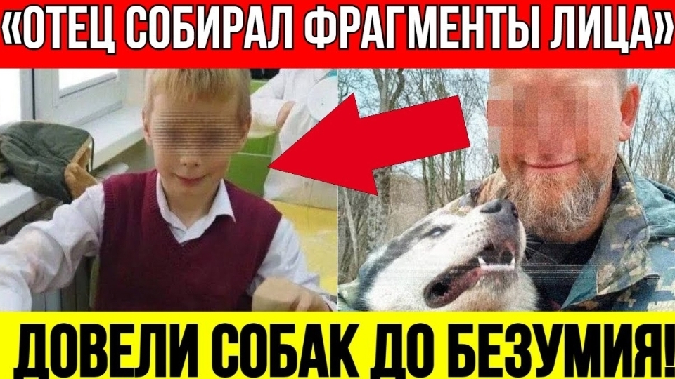 Хаски-Убийцы ЗАГРЫЗЛИ 8-ЛЕТНЕГО МАЛЬЧИКА #чп смотреть онлайн