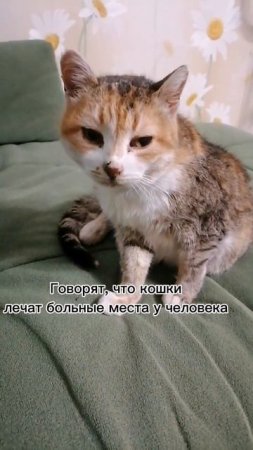 И как это лечить?