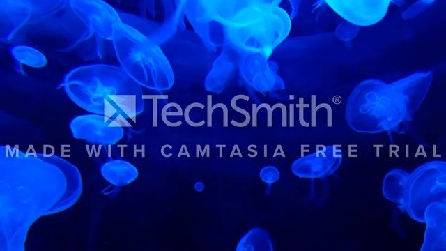 Relaxing music for deeper sleep, relax meditation and calm the mind смотреть онлайн