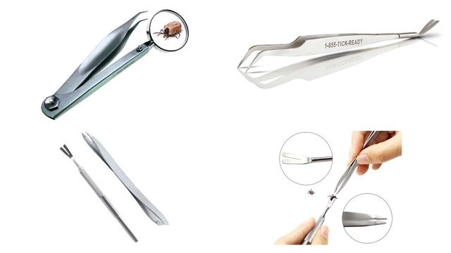 How to Deal with Ticks | Tips & Tricks to Handle & Avoid Ticks While Outdoors смотреть онлайн