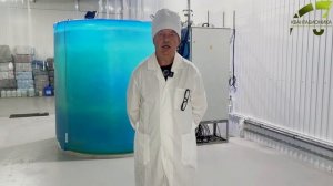 Хлорелла для Пчеловодства: Поддержка Здоровья и Прирост сбора меда - Квантабионика