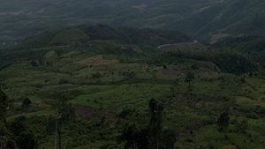 с добрым утром и хорошим днем #shorts