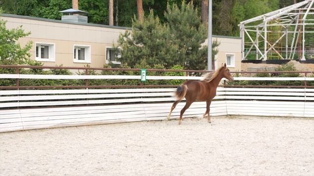 Паинька смотреть онлайн
