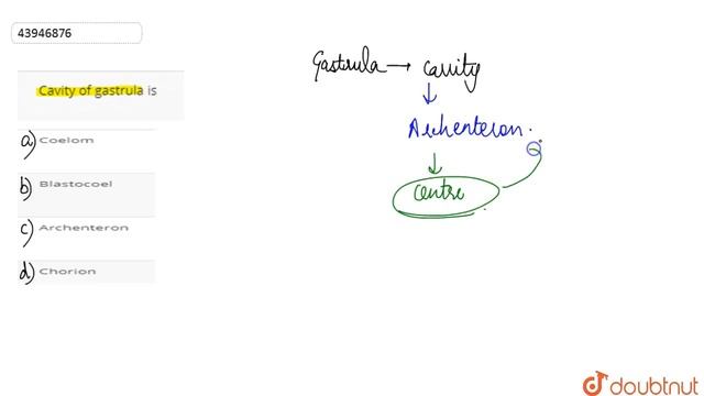 Cavity of gastrula is  | 12 | HUMAN REPRODUCTION | BIOLOGY | A2Z | Doubtnut