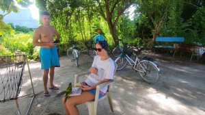 Бюджетные Мальдивы. Остров Тодду. Как съездить на Мальдивы и не оставить состояние. Стоит ли ехать?