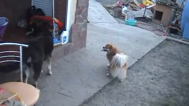 Мал клоп....... смотреть онлайн