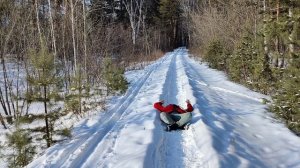 отличная прогулка получилась в снежном сосновом лесу