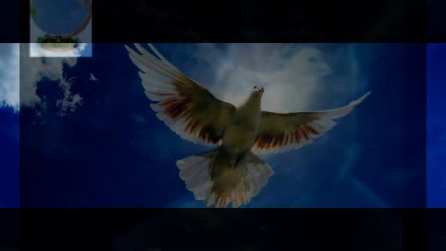 l'oiseau blanc смотреть онлайн