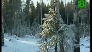 А Он идет.... - Анна Абикулова