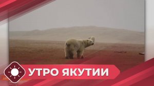 Утро Якутии: День белого медведя (27.02.25)