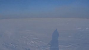 ОХОТА на ЗАЙЦА в КАЗАХстане УКОРОТИЛ ҚАНСОНАР ҚОЯН АҢШЫ Tavsan avi hare hunting