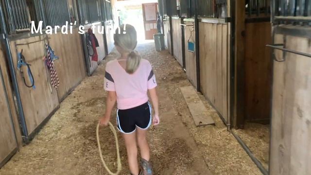 TRAINING VLOG🌎 Mini Horse WORLD SHOW! смотреть онлайн