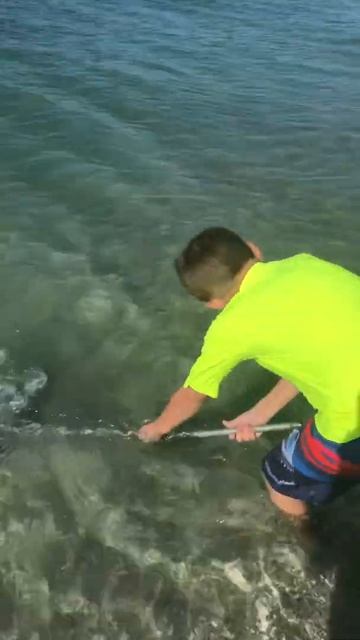 Carter Shark Tooth Hunting: Venice, Florida November 2020 Pt. II смотреть онлайн